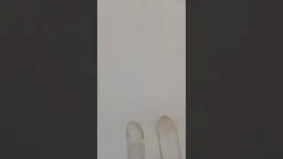 6 февраля 2019 г.