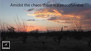 Building New Tucson Workshop, Dealing With County Violations,  And Saying Good Bye Phoenix