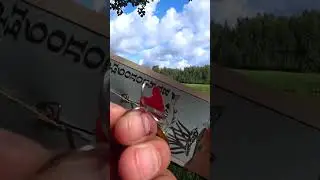 Ловля ЩУКИ на ОКУНЁВУЮ блесну ВЕРТУШКУ времён СССР. #shorts #рыбалка #fishing #рыба