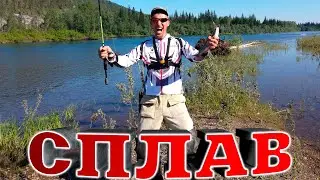 Сплав по таежным рекам. Мошка, жара, ленок