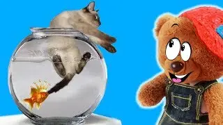ЗОЛОТАЯ РЫБКА для МЕДВЕДЯ ВАНЬКИ. Приключения Медведя Ваньки