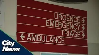 Impact of Quebec's French language reform, Bill 96, on healthcare