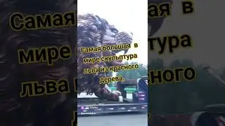 Самая большая в мире скульптура льва из красного дерева. 