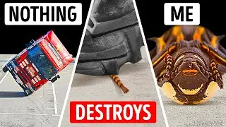 Animal Facts That Are Too Crazy to Be True (But They Are!)
