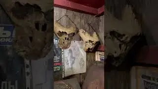 Таинственная находка в горах Кавказа…  