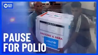 Israel Pauses Attacks On Gaza For Polio Vaccinations | 10 News First