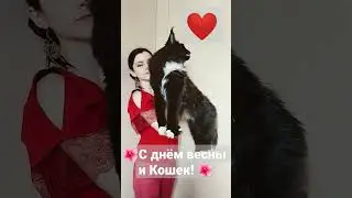 С днем Кошек! ❤ Мур-мур