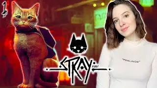 ПЕРВЫЙ ВЗГЛЯД на STRAY | Полное Прохождение СТРЕЙ на Русском | Стрим | Обзор | Начало