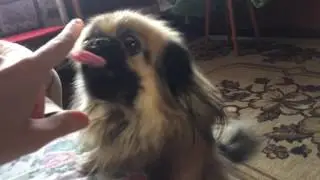 Лилу