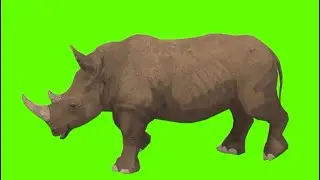 Green Screen Rhinoceros 🦏 Walking, Running, Attacking & Dying | 