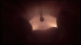 Cakeinferno's Crocodile Vore but with the stomach test animation