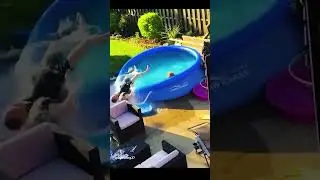try not to laugh попробуй не засмеяться #funny #shorts