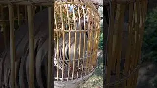 кабки шикори фуруши гарантия 2000с номер938958196