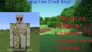 Дошел и победил голема! Правда? Кастом стив хаус