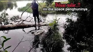Diluar nalar..!! tarikannya bisa nipu orang ini ikan #umpanjitu #umpandagingayam #mancingikantoman
