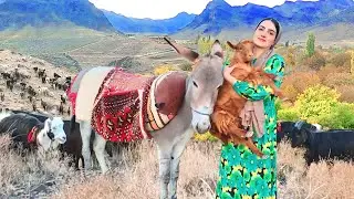 Village Life Iran | Amazing Donkey Riding and Herding by Village Girl
