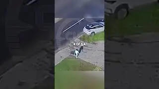 Бабка задавила восьмилетку на пешеходном переходе 😱 