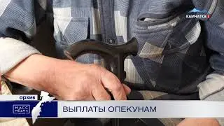 Выплаты опекунам | Новости сегодня | Происшествия | Масс Медиа