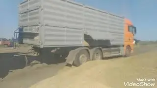 Наказали водятлов, уборка 2020