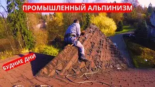 Industrial mountaineering. Weekdays. Cleaning leaves from the roofs of houses!