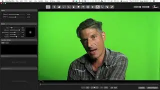 Paint X 4  frame by frame painting techniques in FCP