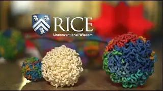 Aiden Laboratory named 3D genome mapping center for the Encyclopedia of DNA Elements (ENCODE)