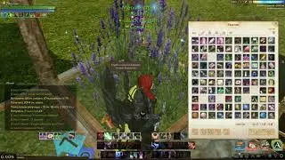 ArcheAge 4.0 Заработок голды на лаванде.