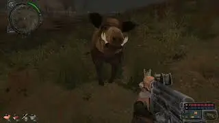 S T A L K E R   Call of Pripyat 2022 01 29   Новый кабанчик