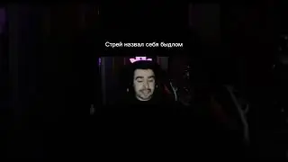 Стрей назвал себя быдлом 