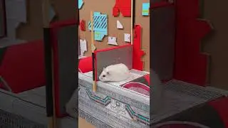 Hamster escapes the Secret Underground Laboratory Maze 🐹 Homura Ham