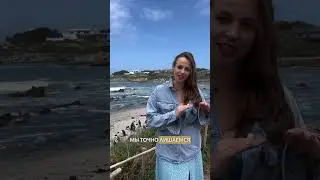 Это нормально?