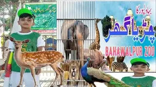 Bahawalpur Zoo//Complete View Of Bahawalpur Zoo//14 August 2024// Pakistan's independence day