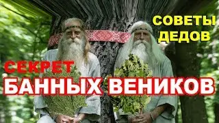 СЕКРЕТЫ банных ВЕНИКОВ | Советы старого банщика | Как связать и как запарить банный веник