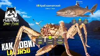 Русская рыбалка 4. 🎣🦈 Норвежское море 🦈🦀💦 КАК ЛОВИТ LATORSO 👀