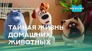 The Secret Life of Pets - Cartoon. Watch movies, series for free on Megogo.net. Trailer