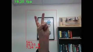 Hand Gesture Recognition Demonstration