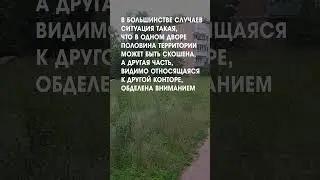Высокая трава #shorts
