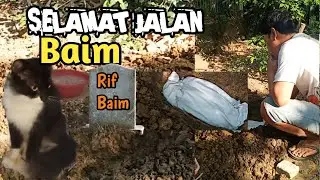 MENGUBUR KUCING MATI - rif Baim (kucing kesayangan) 😭😢