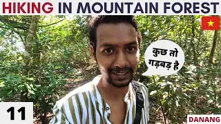 Hiking in Mountain Forest of Danang - Vietnam (EP 11) Forest Travel Vlog