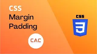 CSS Margin and Padding - CSS 3 Course