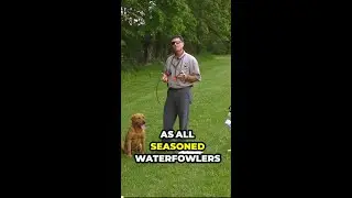 Train Your Retriever To Be Prepared For The Hunt