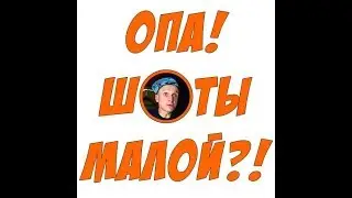 Мопс после бутылки водки