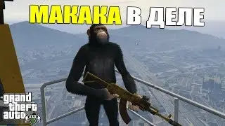 ОБЕЗЬЯНЫ В ДЕЛЕ В ГТА 5 РП REDAGE BLACK ЗАШЛИ К ГУБЕРНАТОРУ