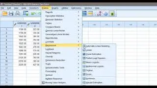 How to do simple linear regression in SPSS