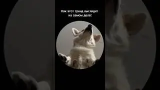 Как тренд пендро выглядит со стороны 