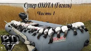 Супер ОХОТА(Гоголь)часть 1