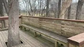 Cruising Into 2021 With Mother Nature🌳🛹 l LC VLOG #5 l