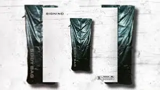 BigNino 🦍 - Body Bag (Official Audio)