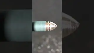 Приманка для ловлі щуки, сома, судака.