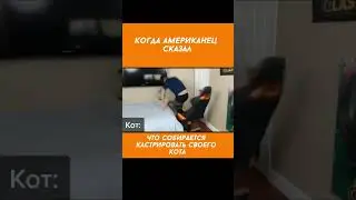 Как кастрация помогает избежать агрессии